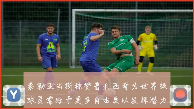 泰勒亚当斯称赞普利西奇为世界级球员需给予更多自由度以发挥潜力